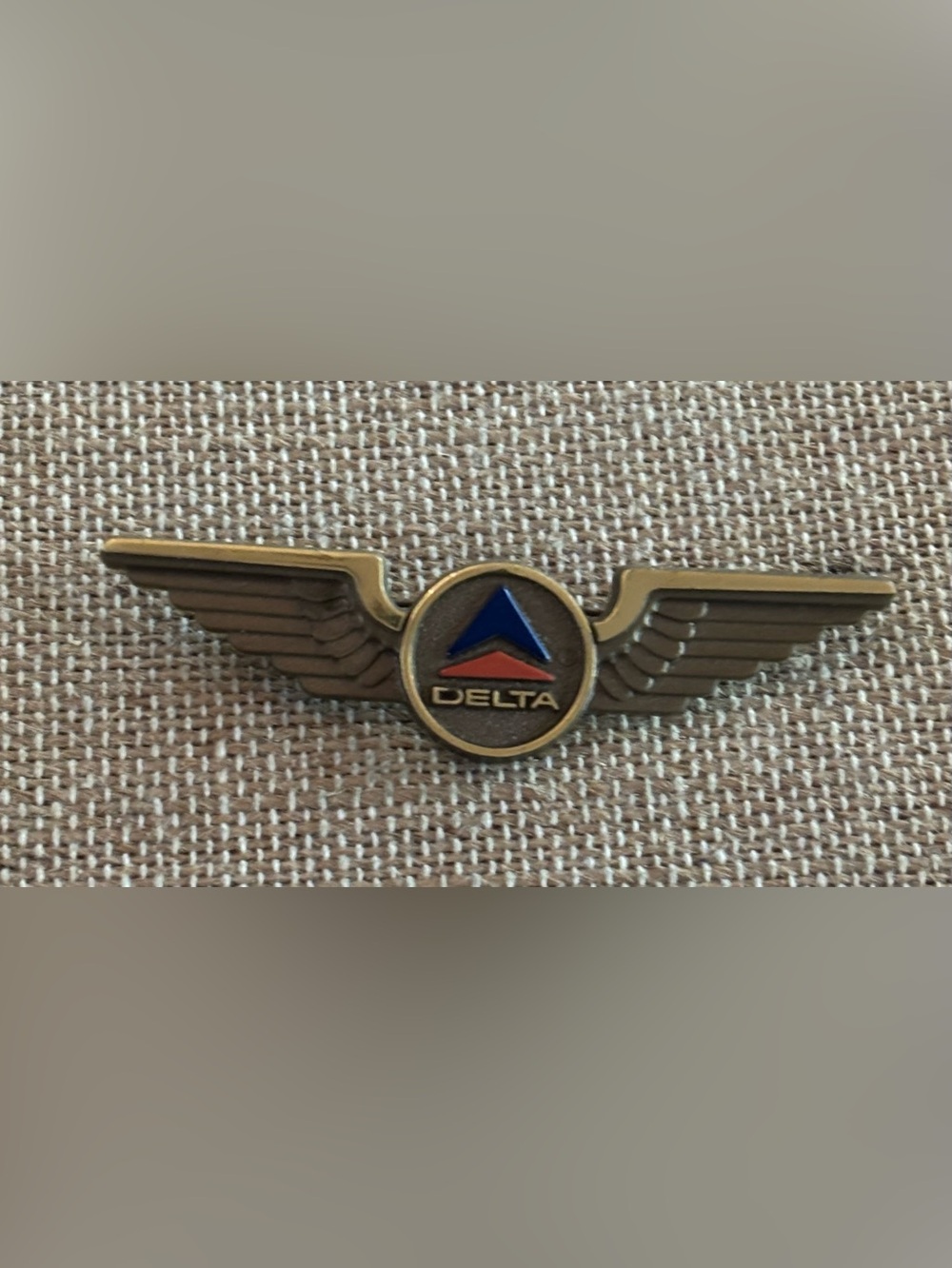 Vintage DELTA AIRLINES Pilot Plastic Wing Pin